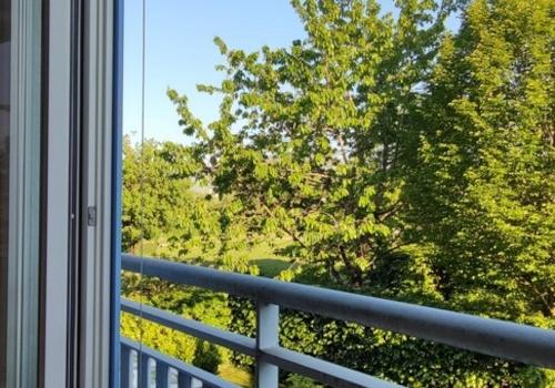 Blick Wohnzimmer/Park