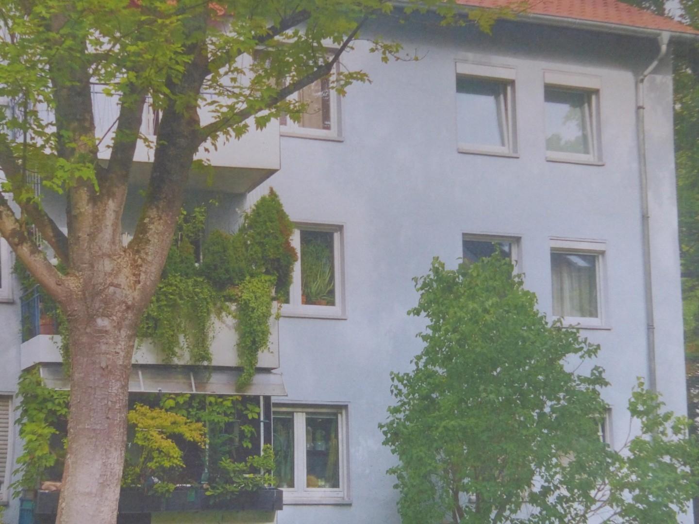 Haus