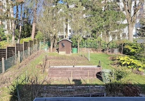 Blick in den Garten
