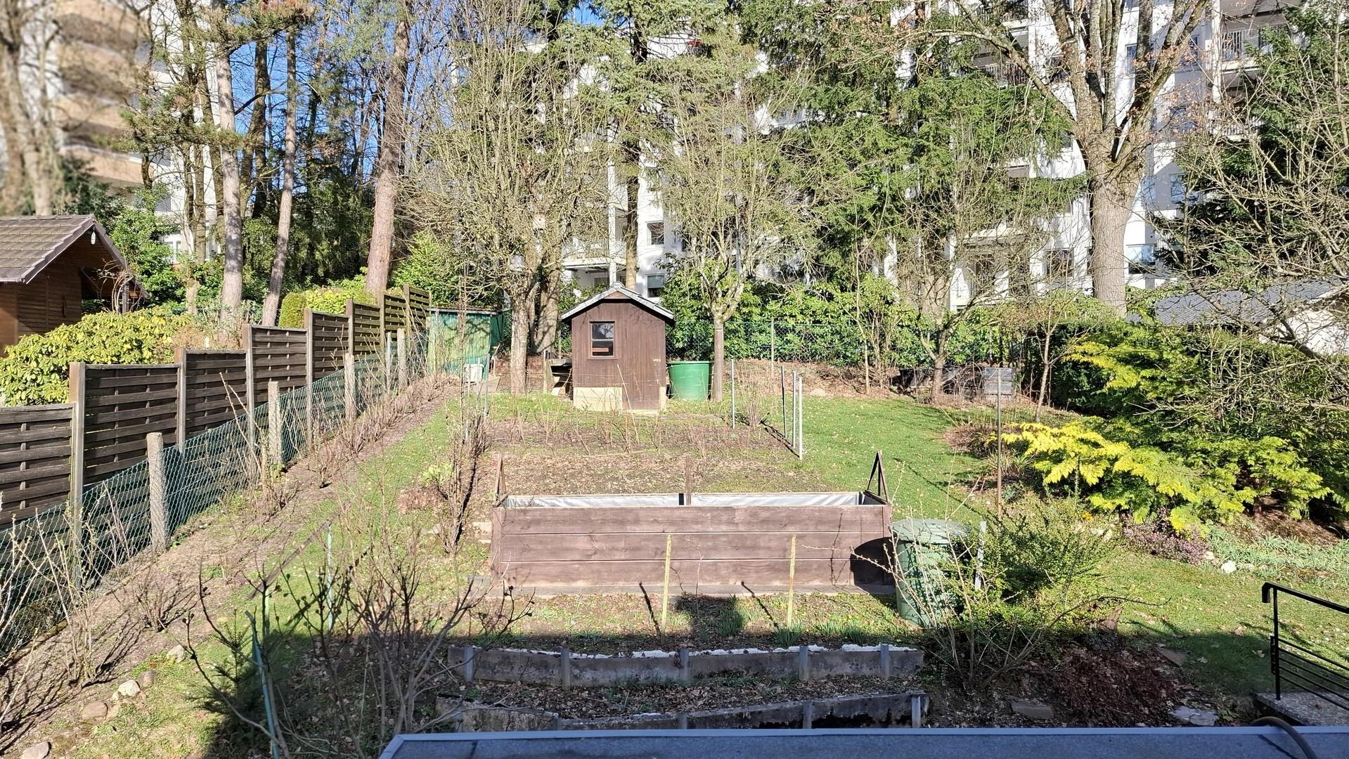 Blick in den Garten