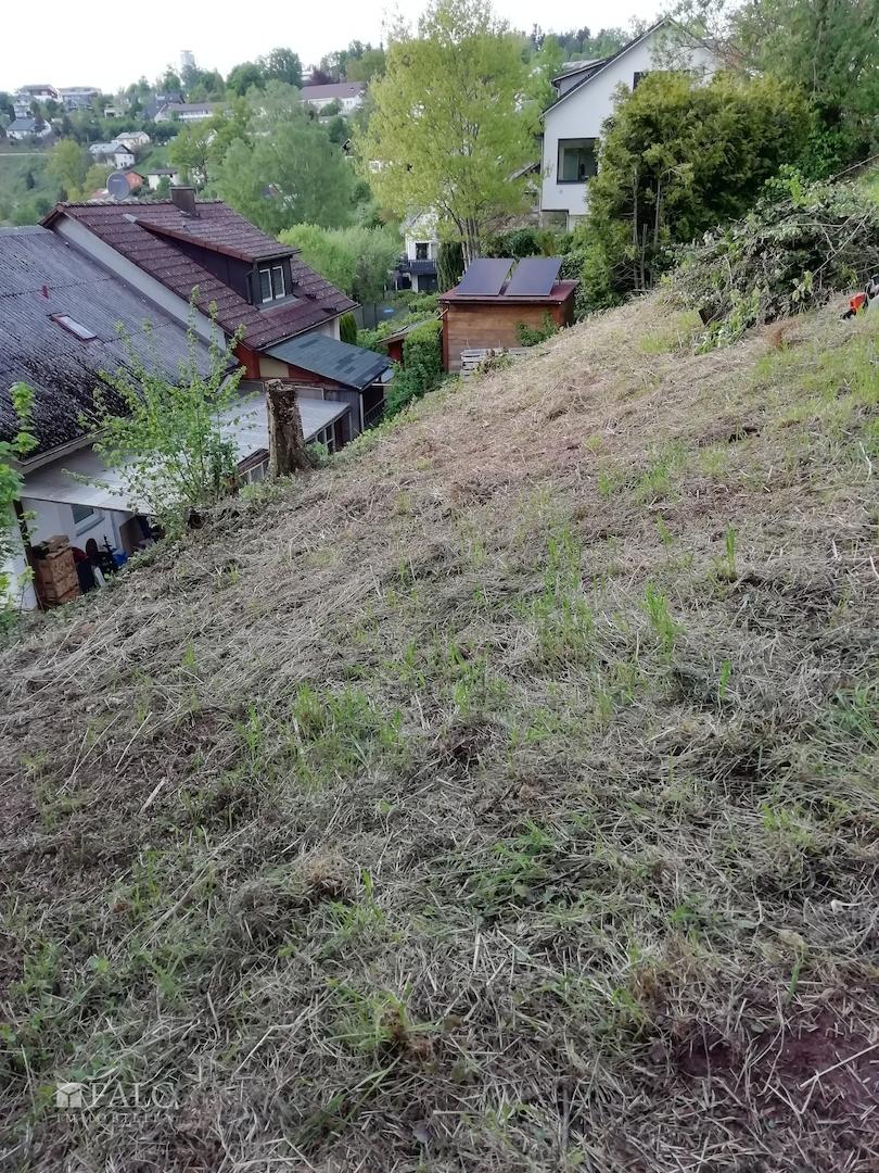 Foto aus April 2025