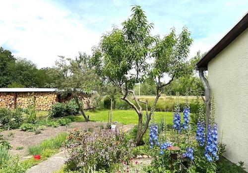 Gartenausschnitt I