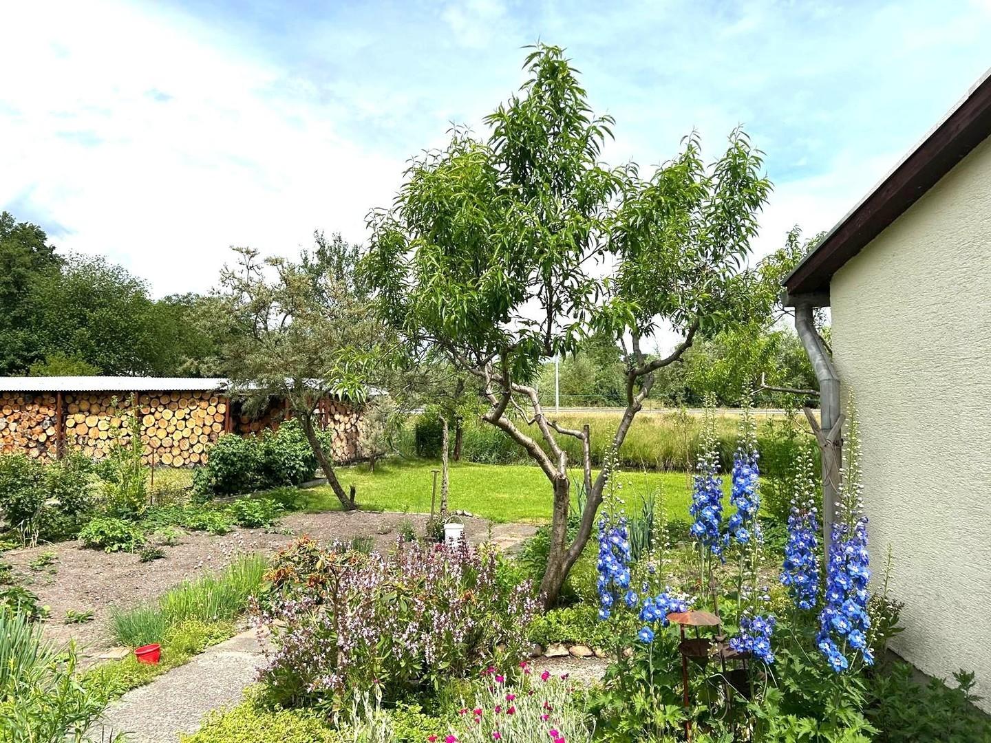 Gartenausschnitt I