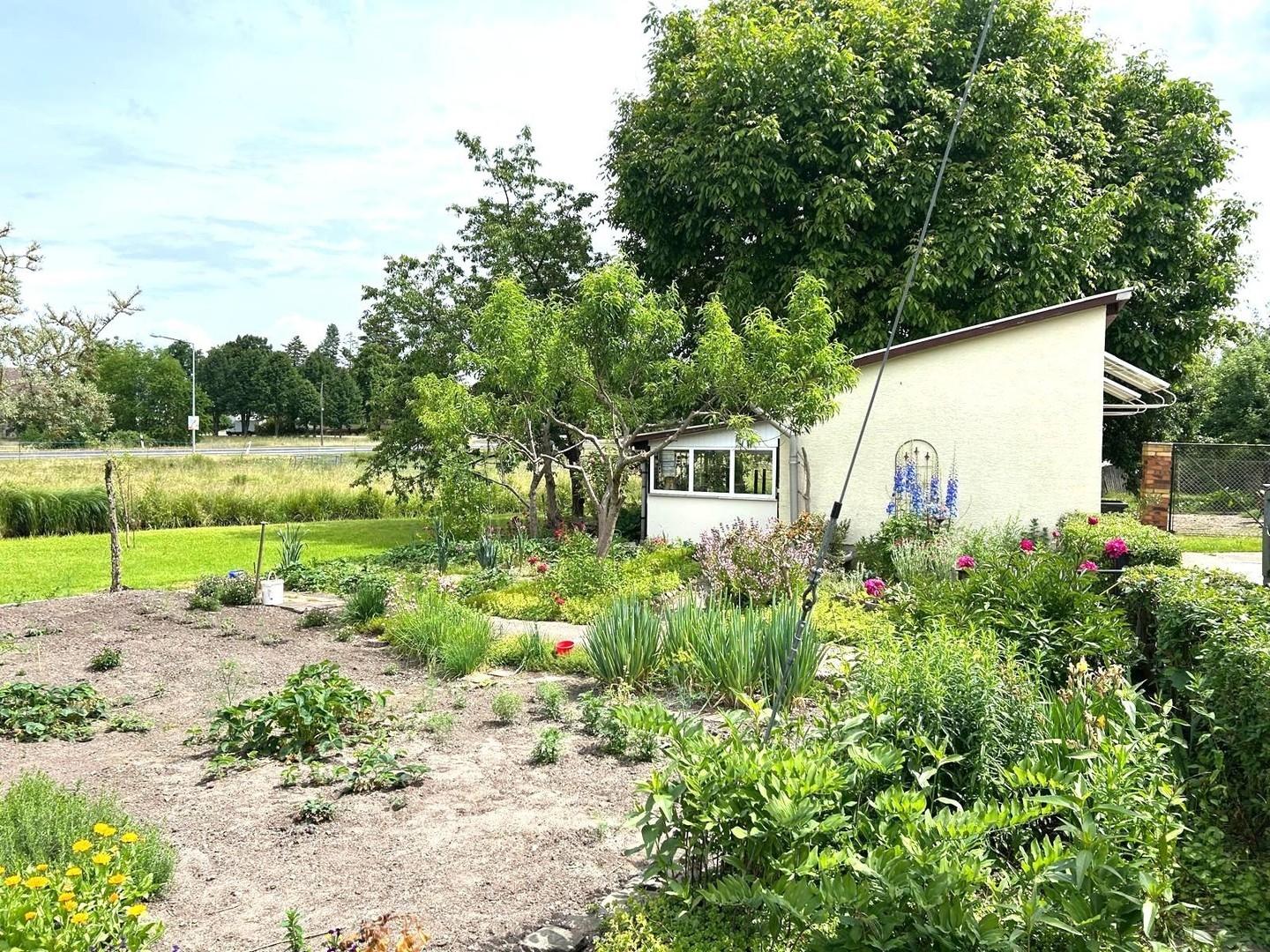 Gartenausschnitt II