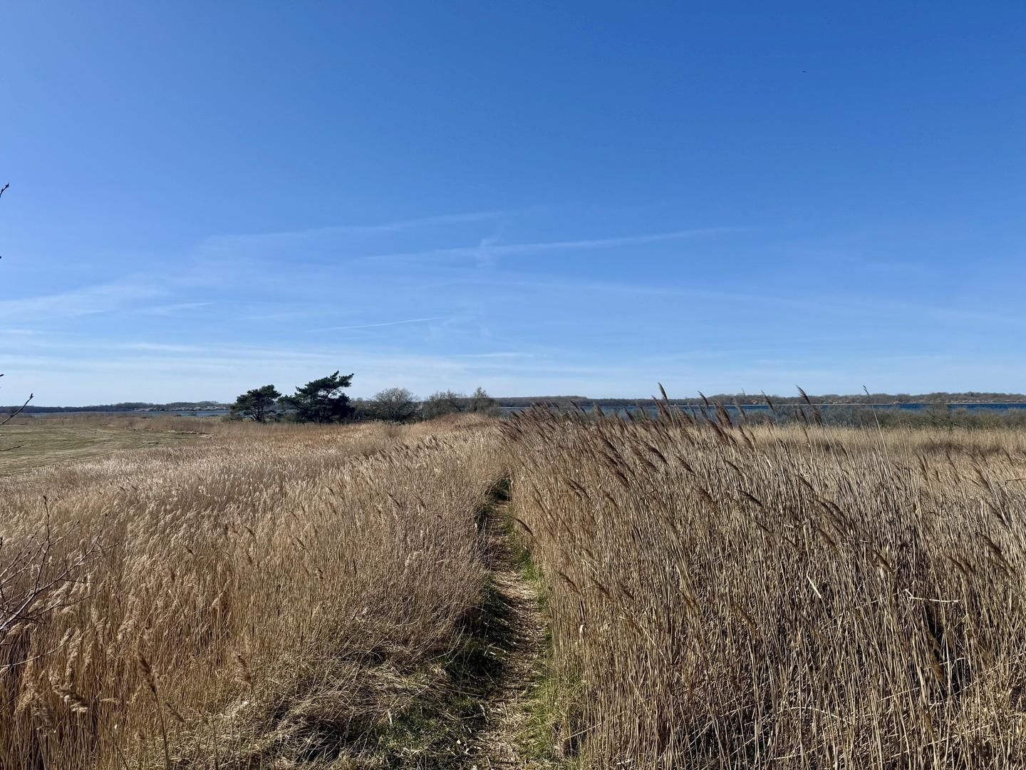Weg zum Haff (2 km entfernt)