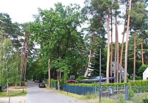 unmittelbares Umfeld