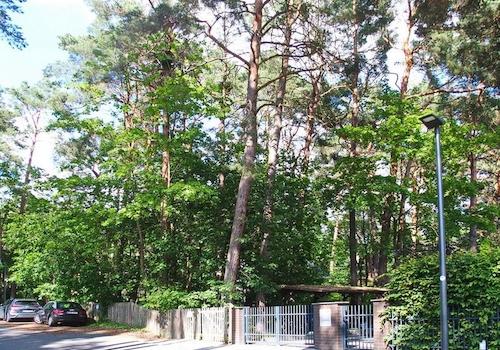 Grundstück Blick von rechts