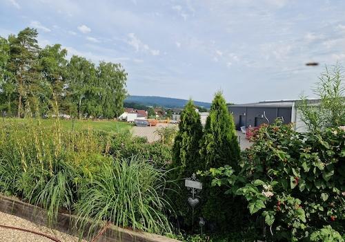 Fernblick u Bepflanzung