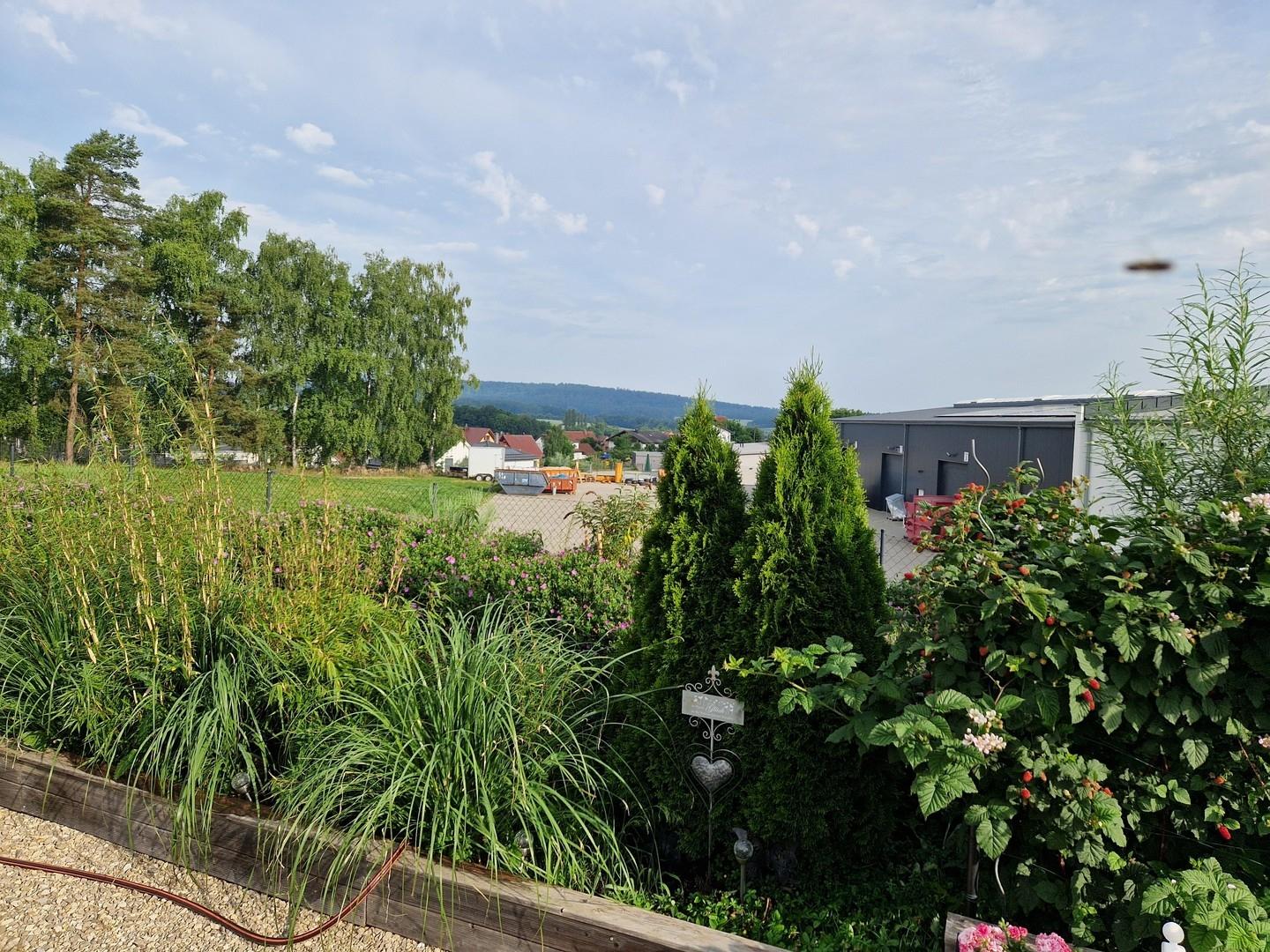 Fernblick u Bepflanzung