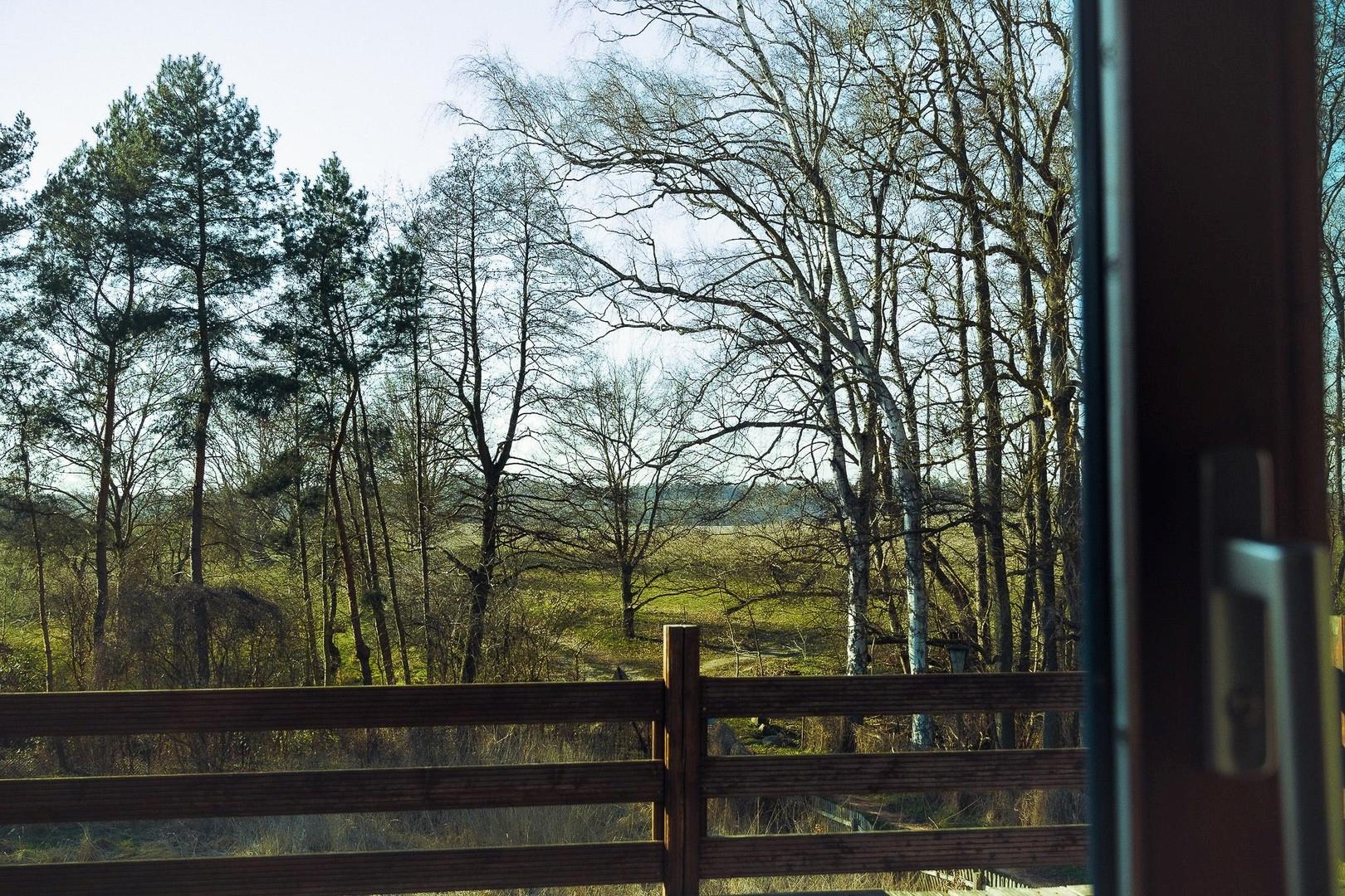 Ausblick Ferienwohnung