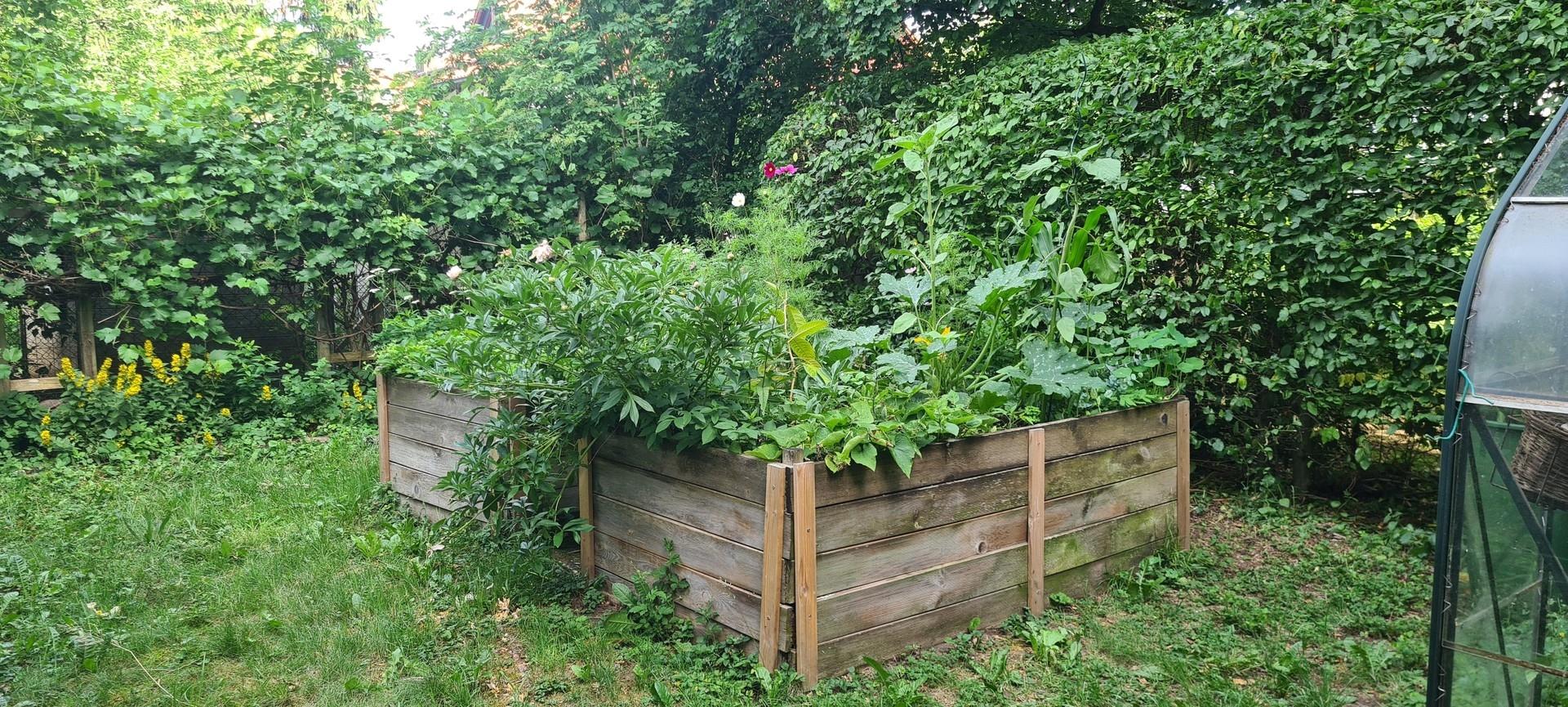 Gemüsegarten