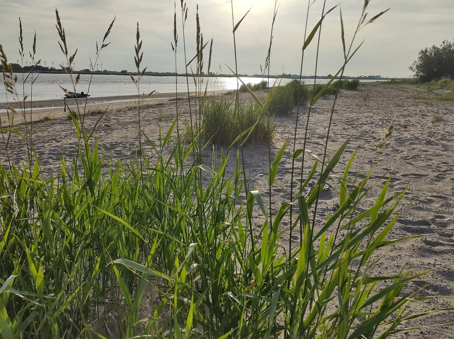 Weserstrand