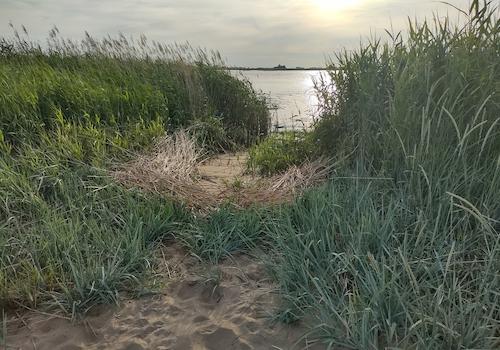 Weserstrand