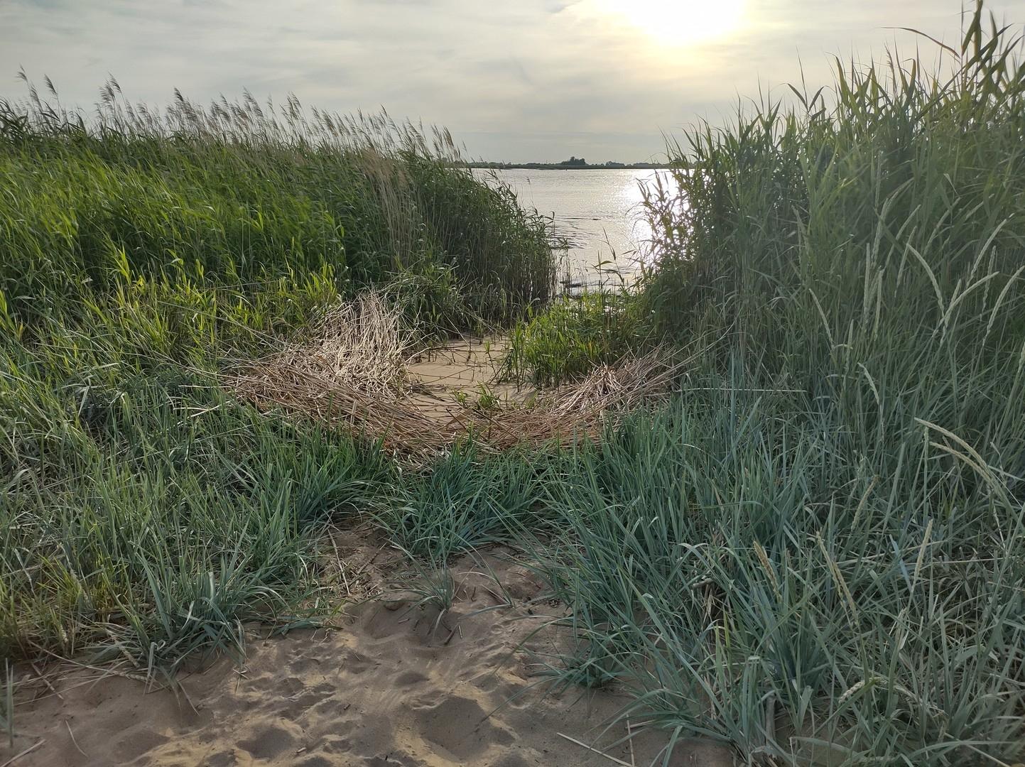 Weserstrand