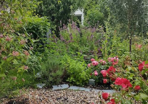 Blick vom Garten aus aufs Haus