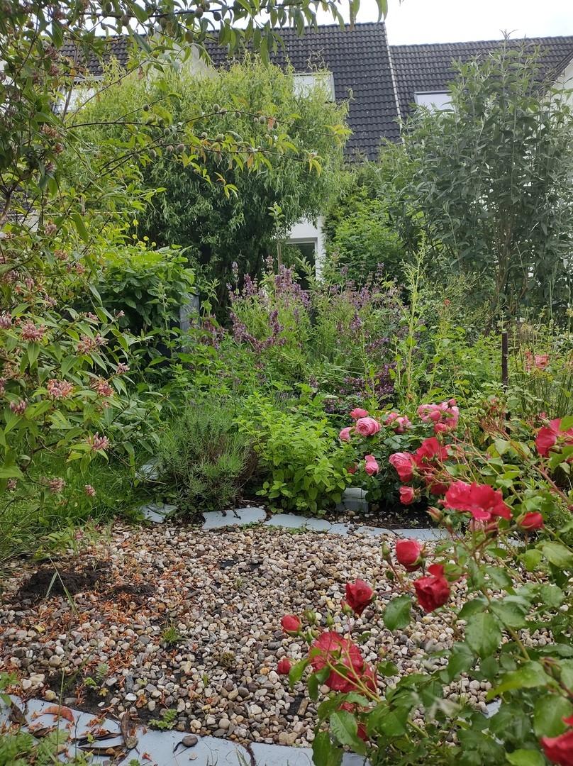 Blick vom Garten aus aufs Haus