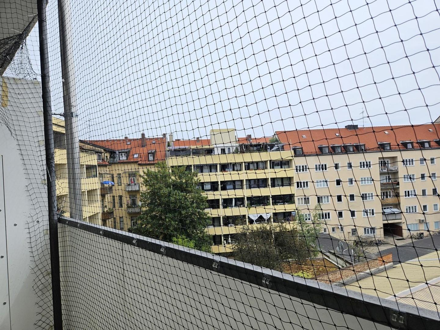 Ausblick