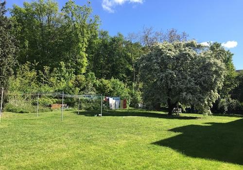 Großer grüner Garten
