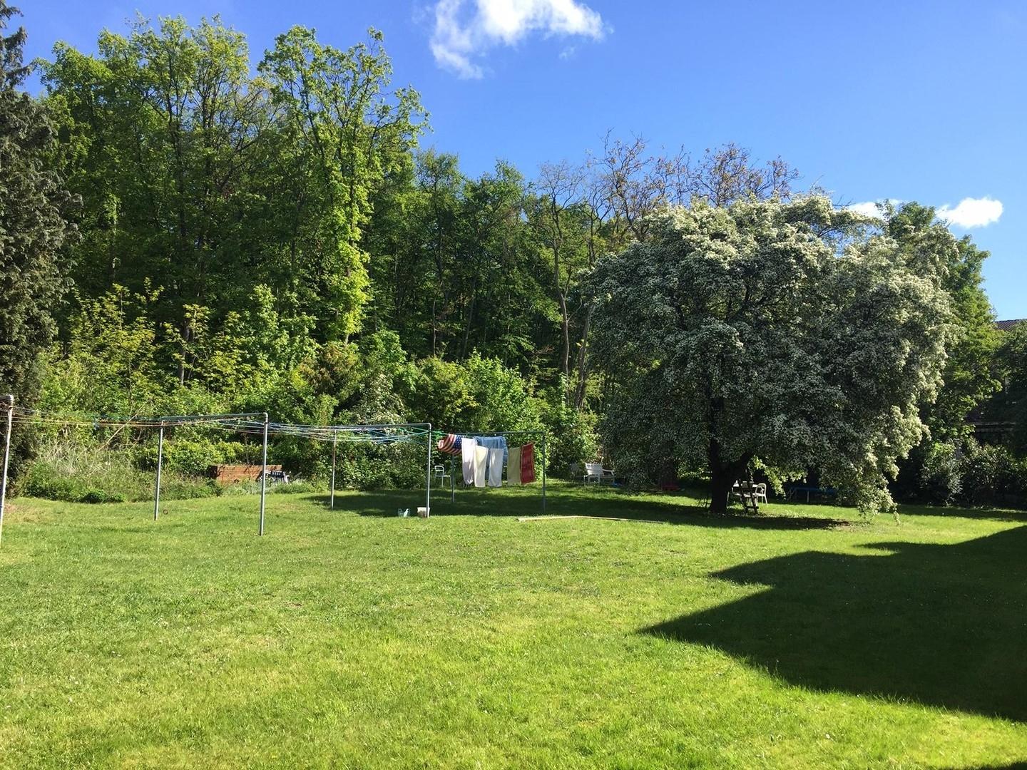 Großer grüner Garten