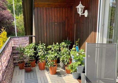OG: Sonniger Balkon 