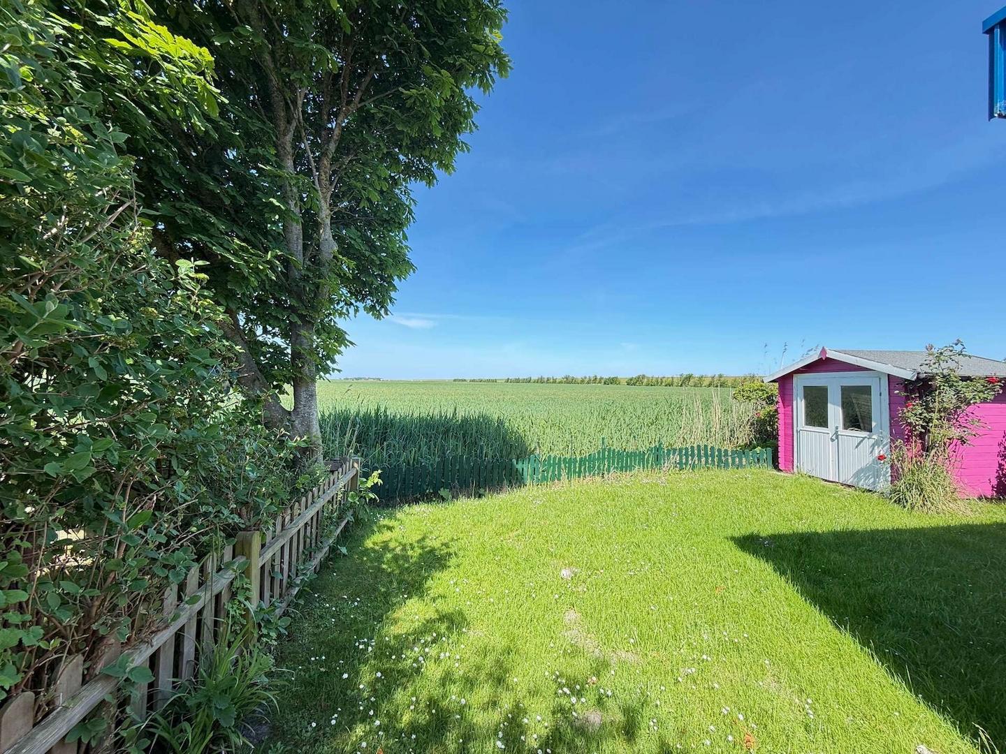 Garten mit Gartenhütte