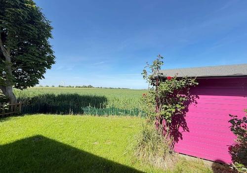 Blick ins Grüne