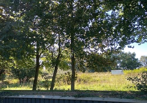 Blick über den Gartenzaun