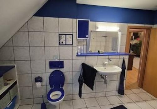 Sanitär