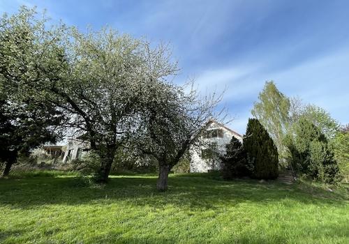 Grundstück mit Blick zum Haus