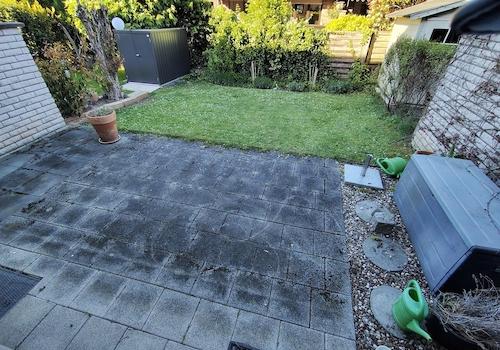 Blick in den Garten