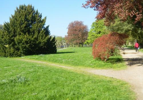 Park im Staden - Viertel