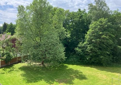 Ausblick Balkon.