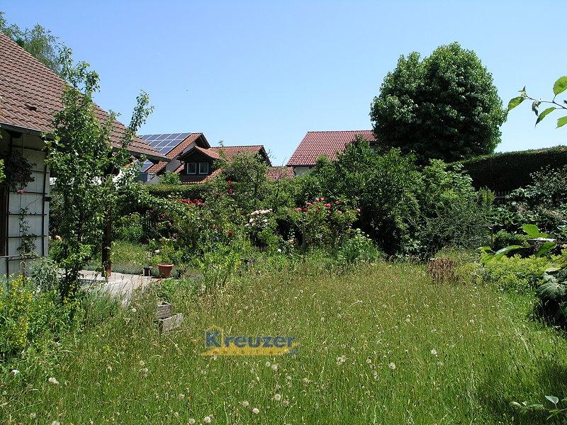 Garten_Wiese