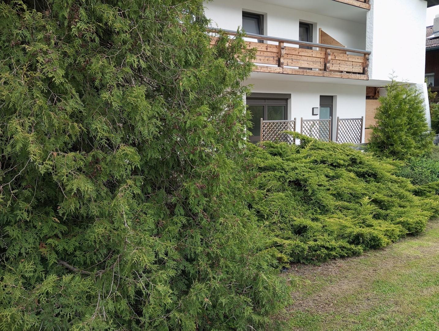 EG WOHNUNG MIT TERRASSE.