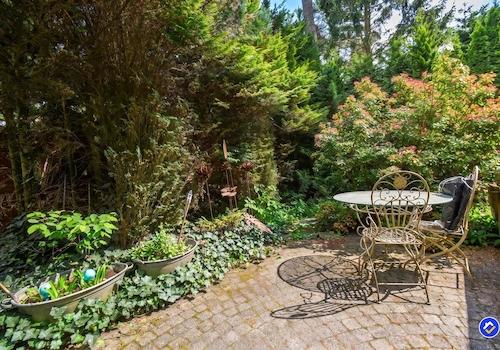 kaufen-freistehendes-ferienhaus-doornspijk-waldgarten-baumstamm-stehtisch-recreatieadviseur-vakantiehuistekoop-nl.jpg