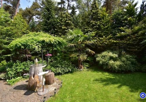 kaufen-freistehendes-ferienhaus-doornspijk-waldgarten-baumstamm-stehtisch-recreatieadviseurs-vakantiehuistekoop-nl.jpg