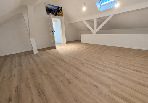 Zimmer DG