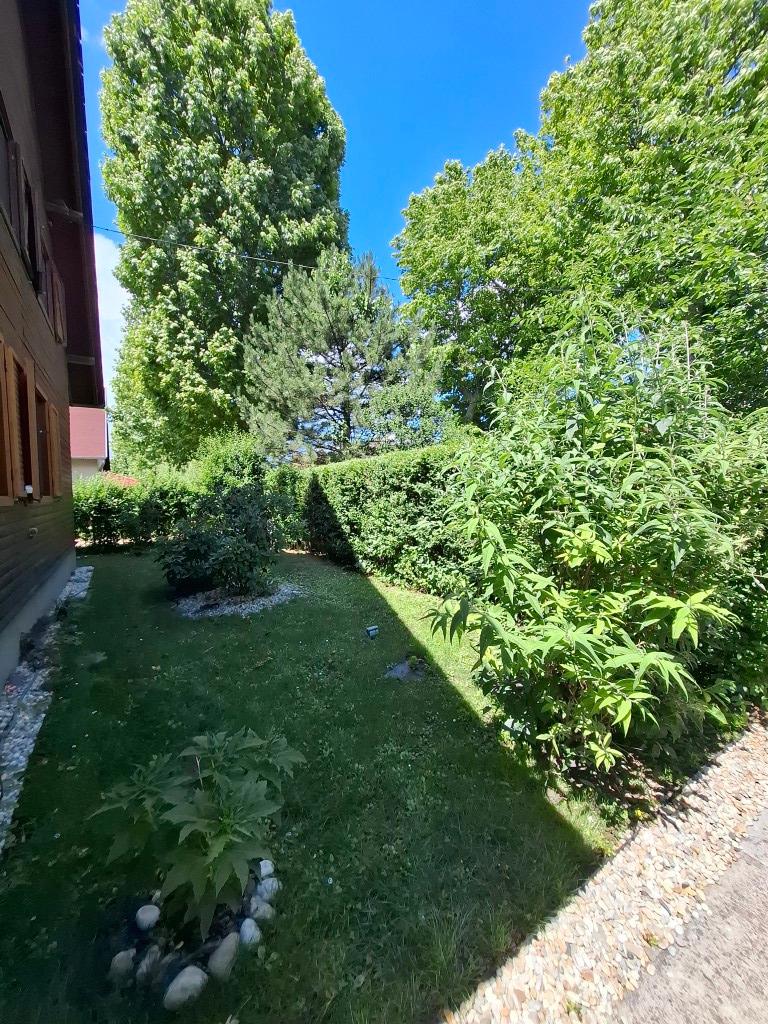 20260616_143135 (Közepes)