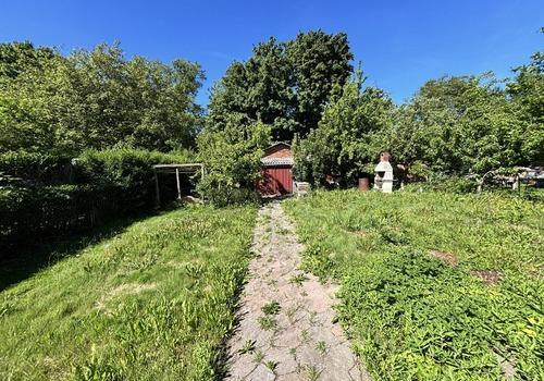 Blick in den Garten