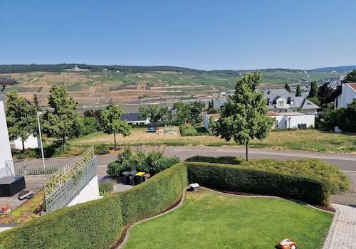 Blick zum Rhein & Weinberge