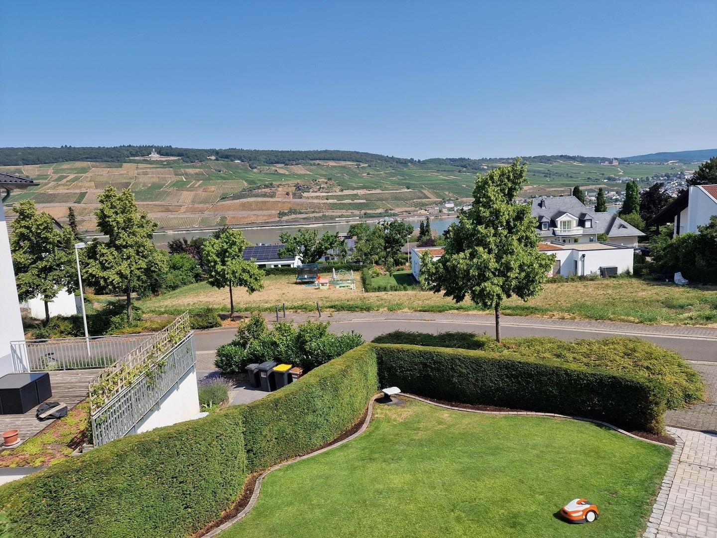Blick zum Rhein & Weinberge