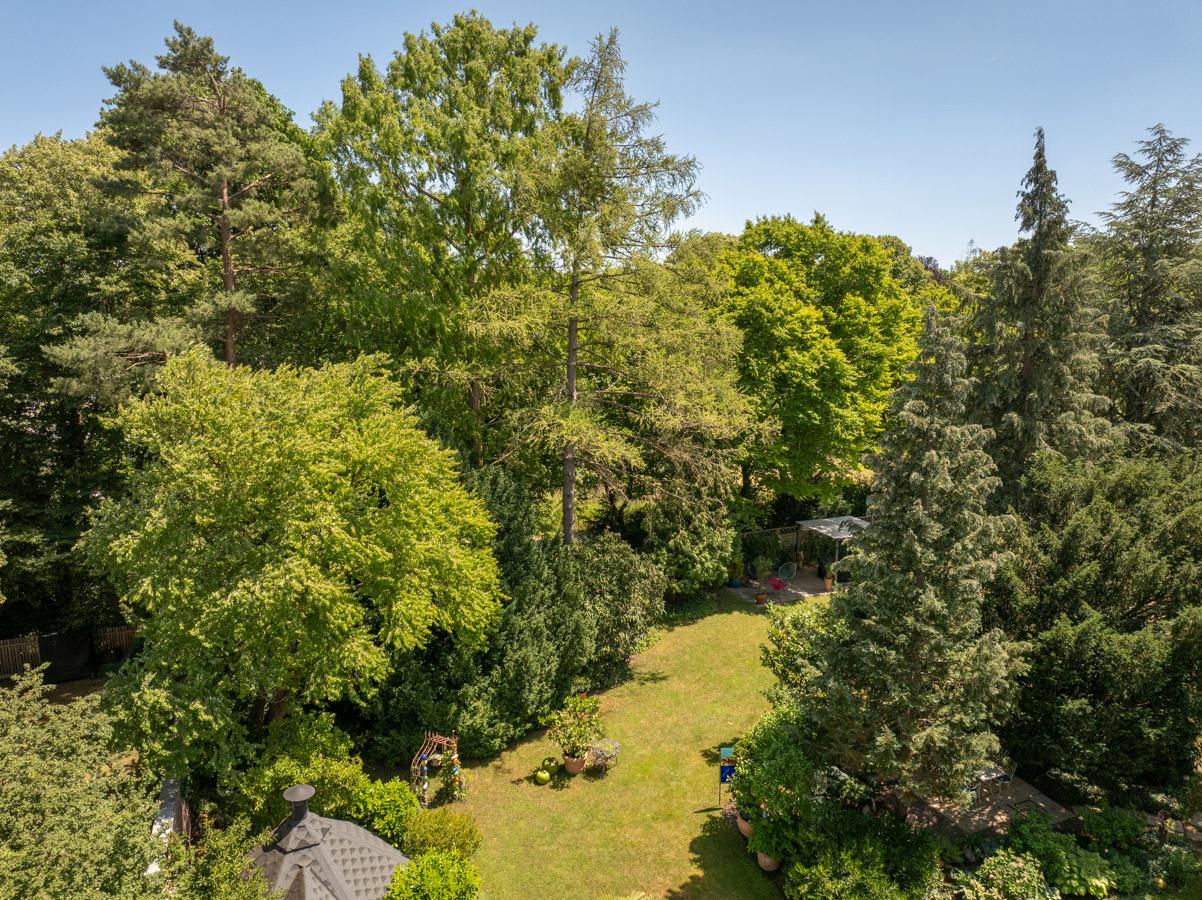 DJI_20250625132658_0031_D