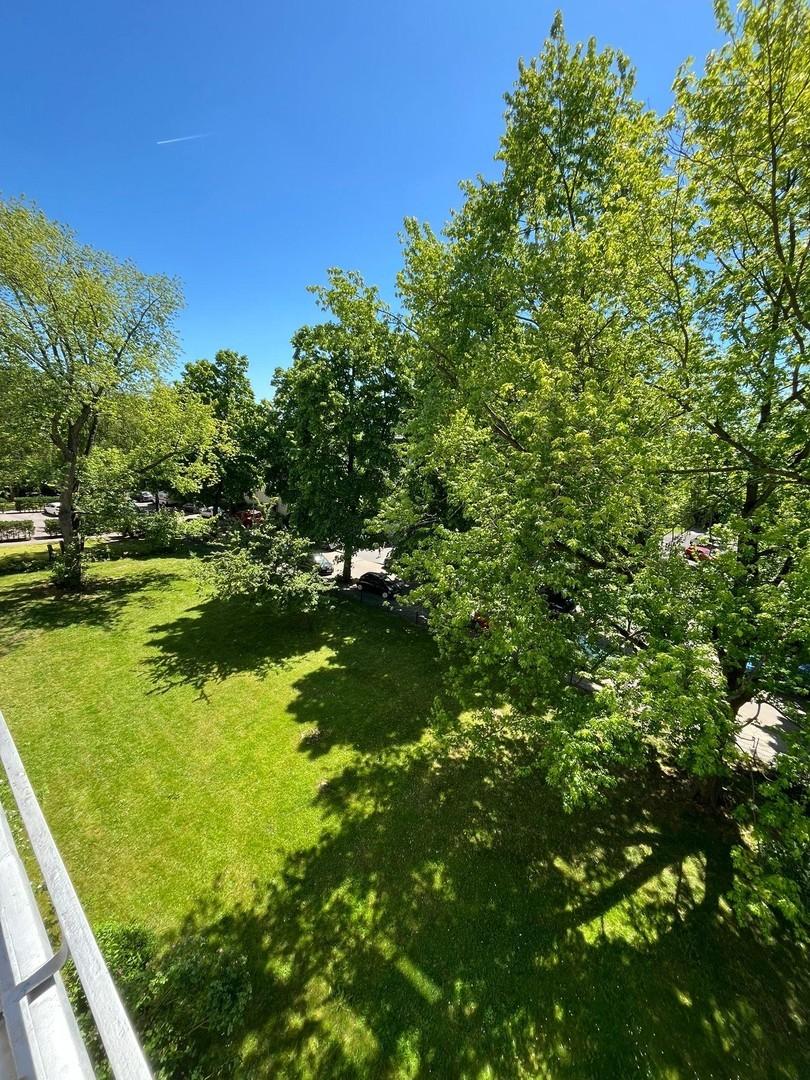 Ausblick vom Balkon