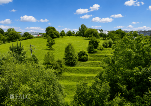 Blick 