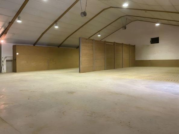 Bild/Grundriss 4