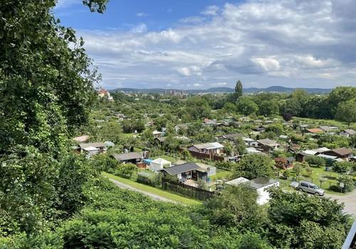 Fernblick