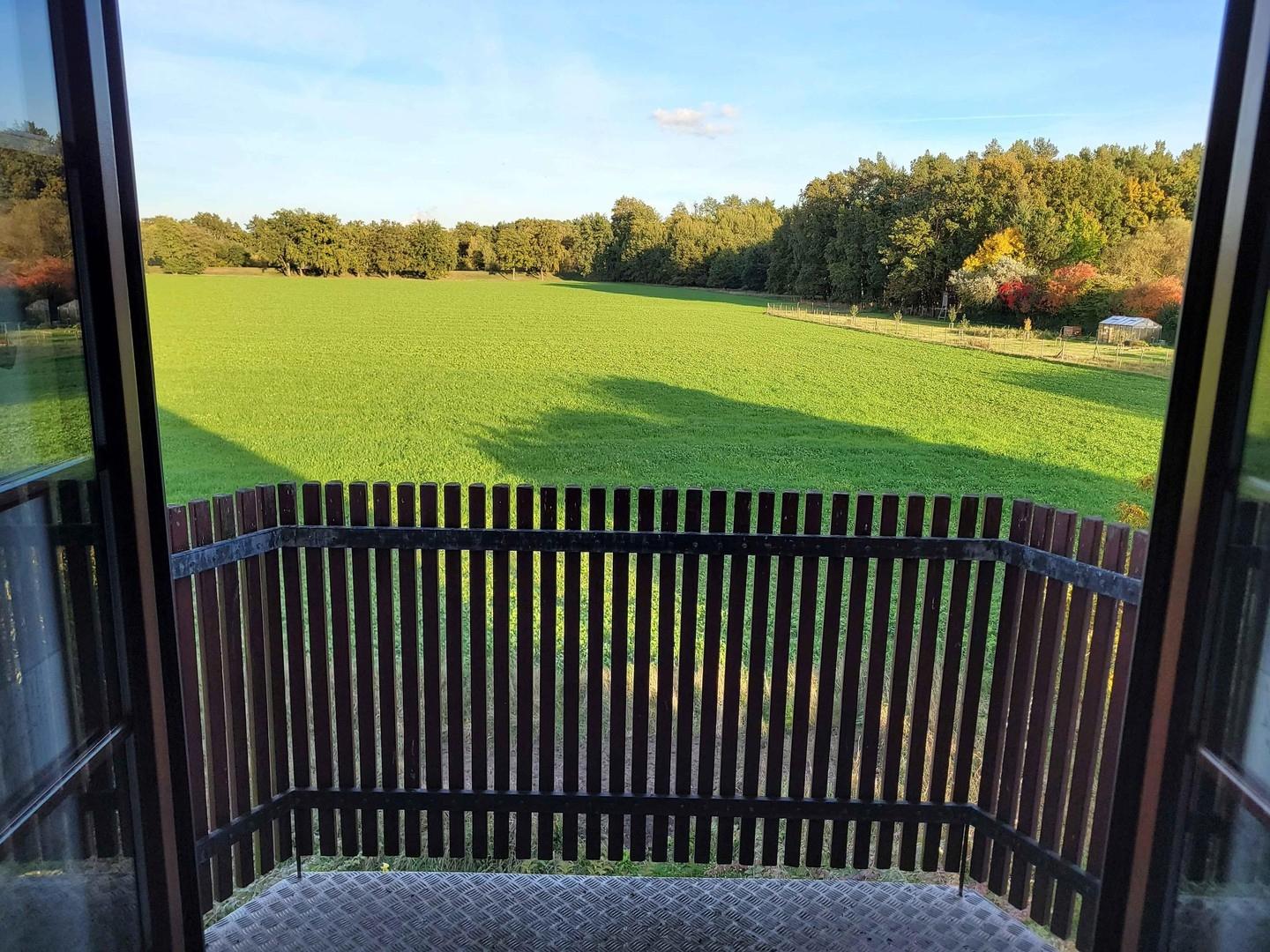 DG Gast1 - Ausblick