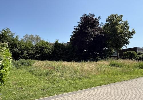 Grundstück