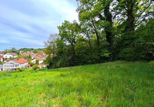 Aussicht_Grundstueck