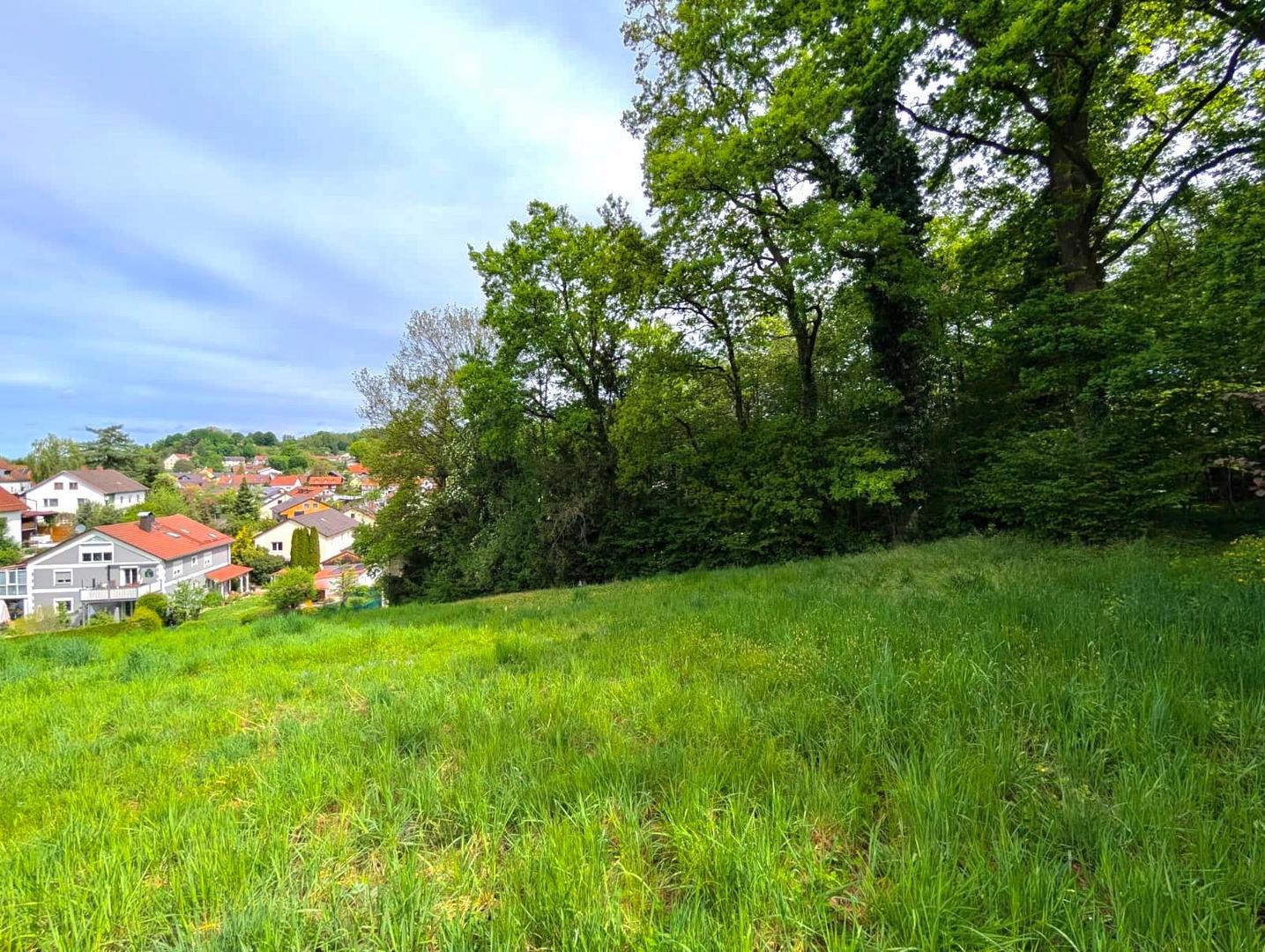 Aussicht_Grundstueck